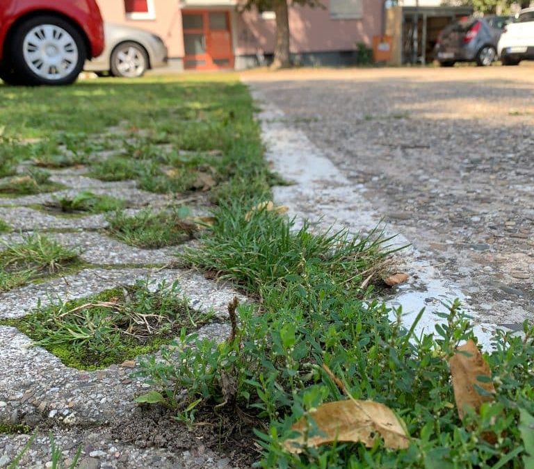 Karlsruhe als klimafreundliche „Schwammstadt“?