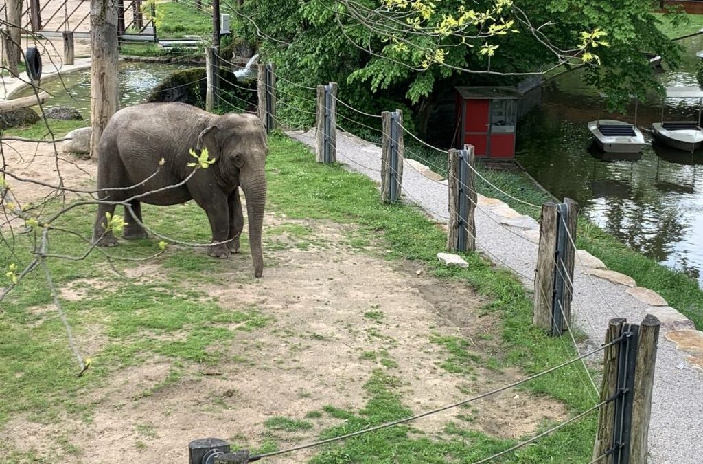 Mehr Verantwortung für den Zoo!